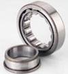 NJ204 Cylindrical Roller Bearings 20x47x14